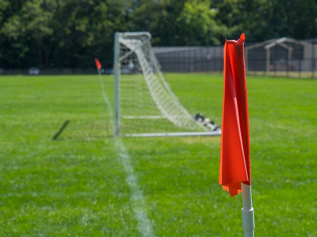 的不懈努力 的不懈努力