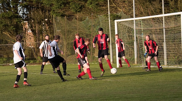 重要因素 重要因素