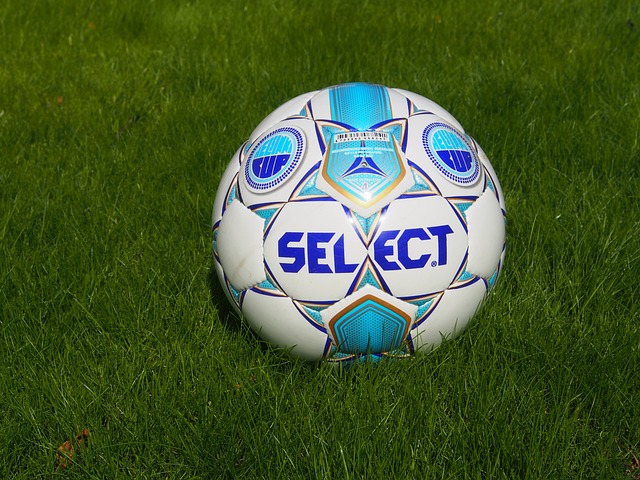 这一前景为 这一前景为