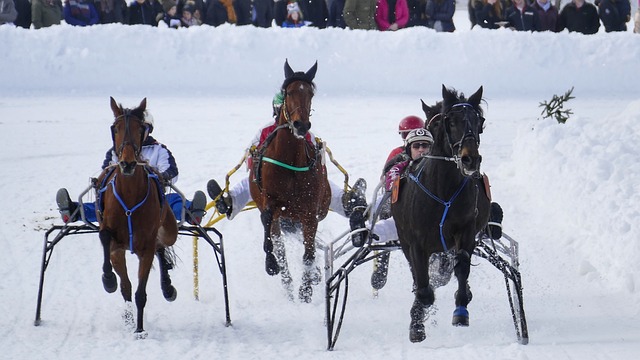 逆境中的坚 逆境中的坚