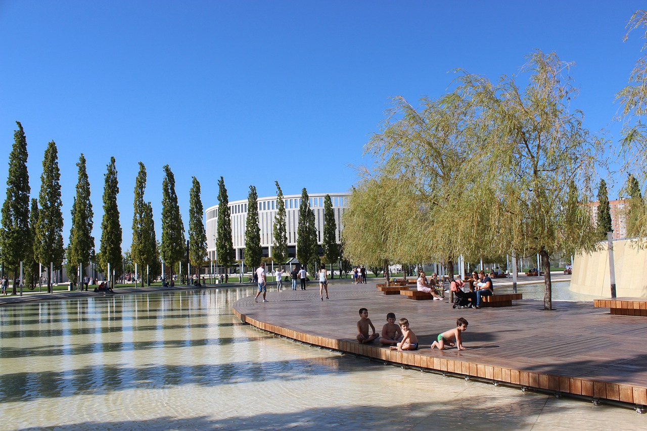 萨赢得了包 萨赢得了包