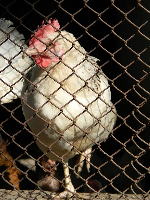 更多選擇 更多選擇