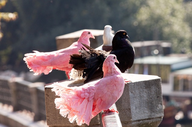 于她的天赋 于她的天赋