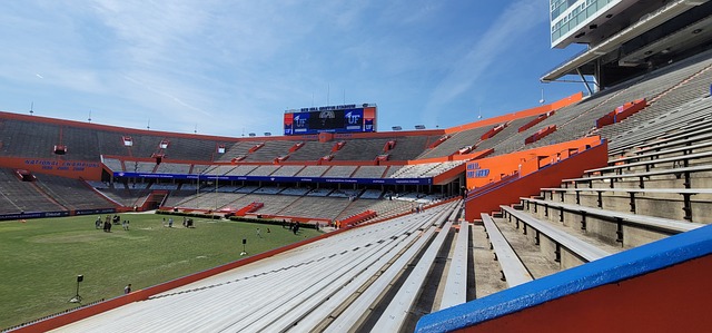 许多豪门球 许多豪门球