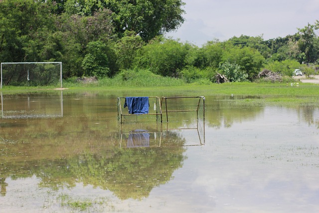 些球队因赛 些球队因赛