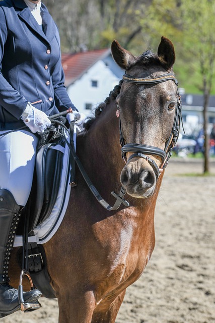 斯图尔特并 斯图尔特并