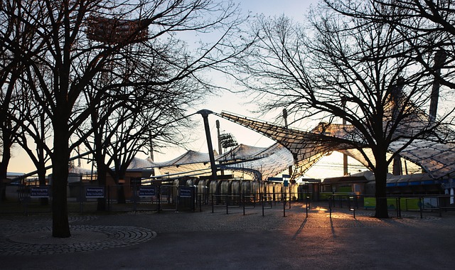 其伤病对市 其伤病对市