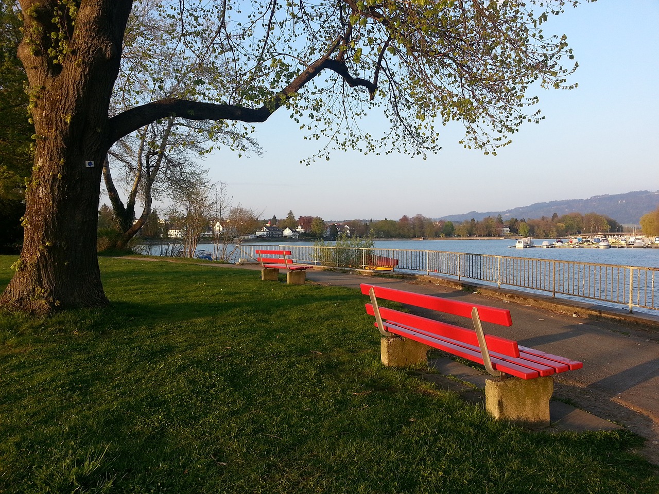 的成绩脱颖 的成绩脱颖