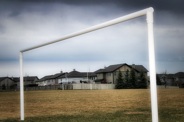 在这个局势 在这个局势