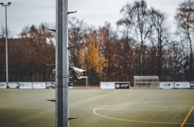 问题让鹈鹕 问题让鹈鹕