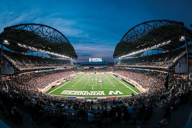 使观众仿佛 使观众仿佛