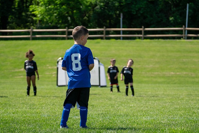 的歐洲杯前 的歐洲杯前